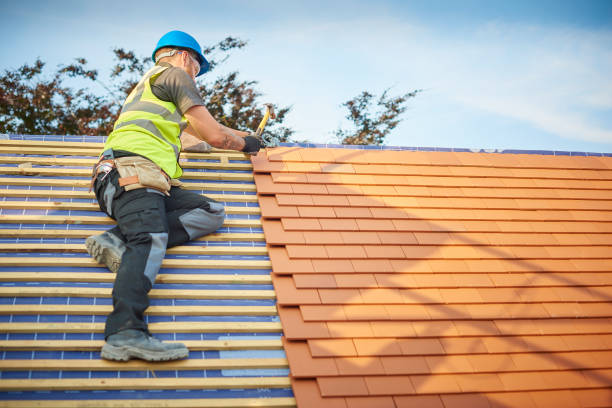 Best Roof Moss and Algae Removal  in Maltby, WA